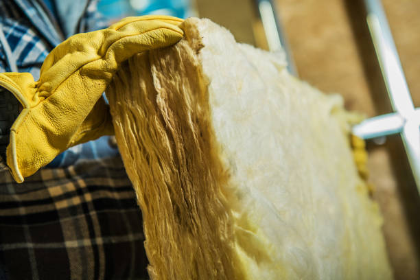 Best Types of Insulation in Kentwood, MI