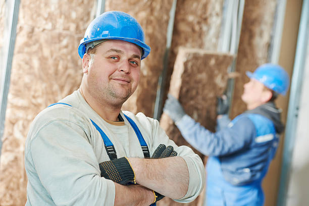 Best Insulation Maintenance and Repair in Kentwood, MI
