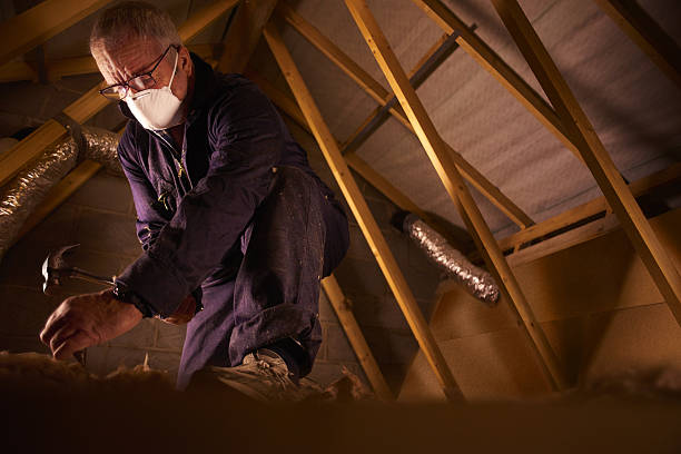 Best Residential Insulation in Kentwood, MI