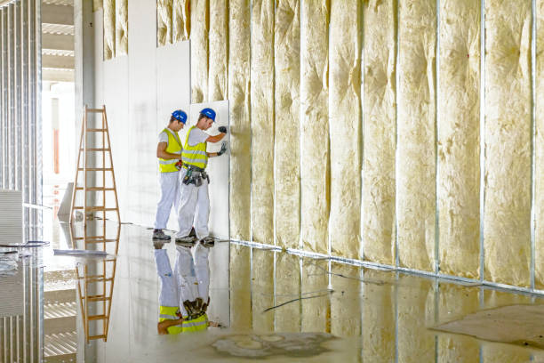Best Insulation for Specific Applications in Kentwood, MI
